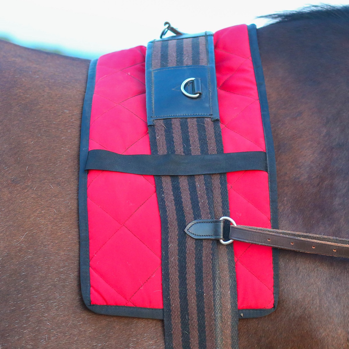 Futószáras alátét - Image 3